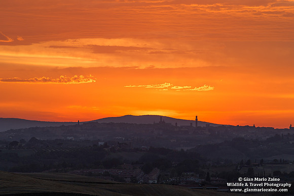 Siena (31/07/2020)