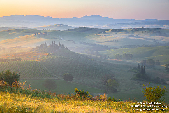 Val d'Orcia (31/05/2015)