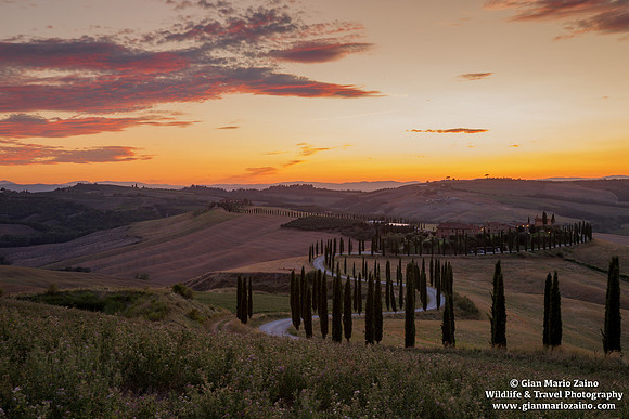 Asciano (15/08/2019)