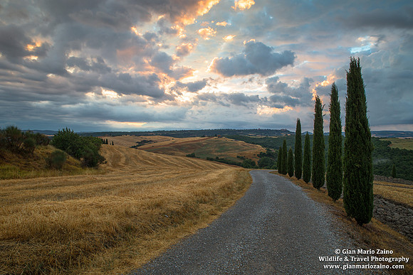 Val d'Orcia (29/06/2017)