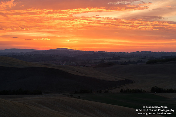 Siena (31/07/2020)