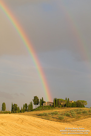 Asciano (03/08/2020)