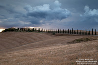 Taverne d'Arbia (04/08/2020)