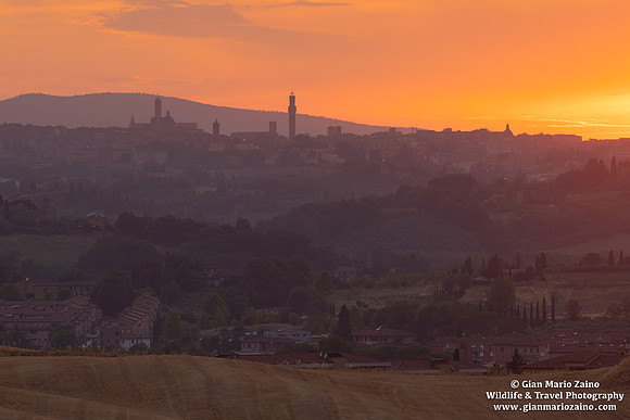 Siena (05/07/2025)