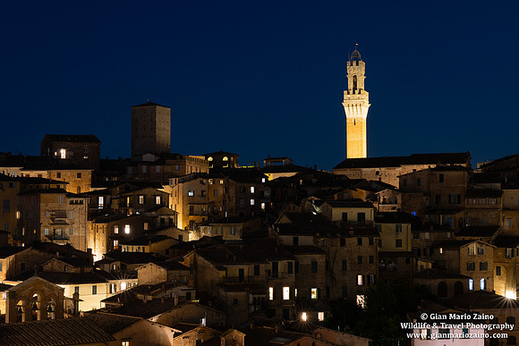 Siena (09/07/2025)