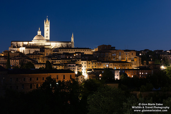 Siena (09/07/2025)