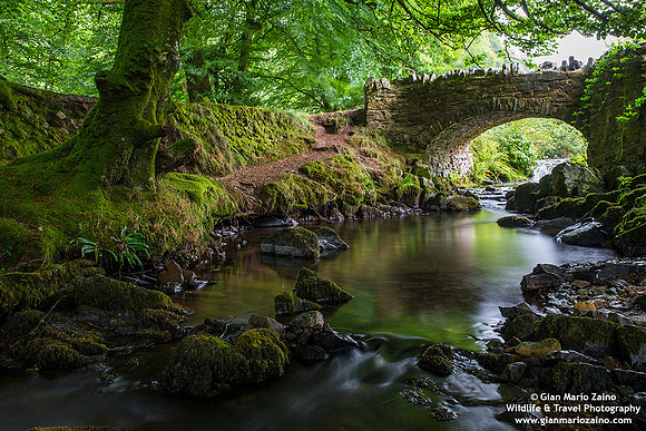 England - Lynton - Robber's bridge (08/08/18)