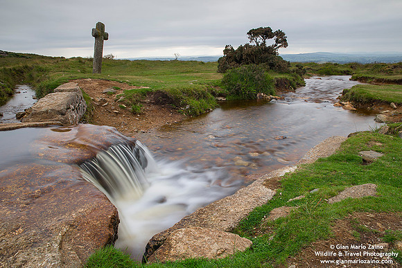 England - Dartmoor National Park (10/08/18)