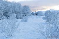 Norway - Lofoten (07/11/2019)