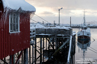 Norway - Lofoten - Reine (8/11/2019)