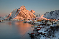 Norway - Lofoten - Reine (10/11/2019)