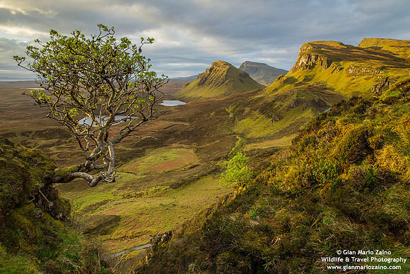 Scotland - Isle of Skye - Quiraing (28/04/2019)
