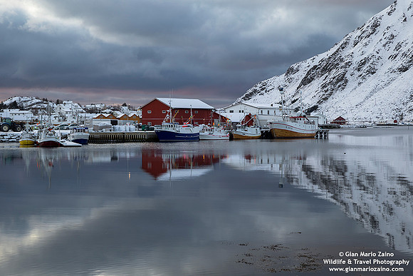 Norway - Lofoten (09/11/2019)