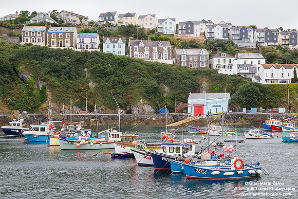 England - Mevagissey (14/08/18)