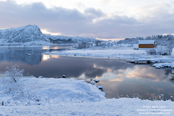 Norway - Lofoten (07/11/2019)