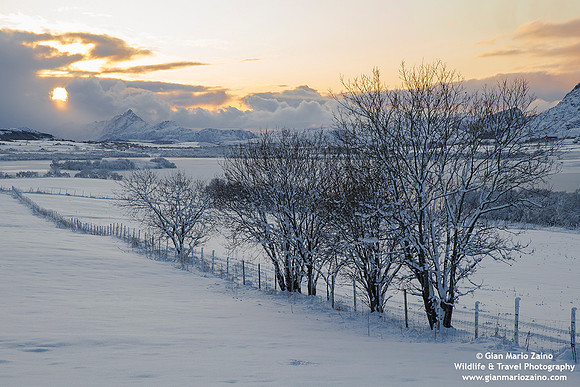 Norway - Lofoten (08/11/2019)