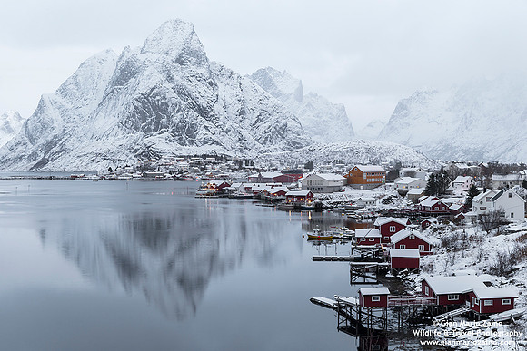 Norway - Lofoten - Reine (08/11/2019)