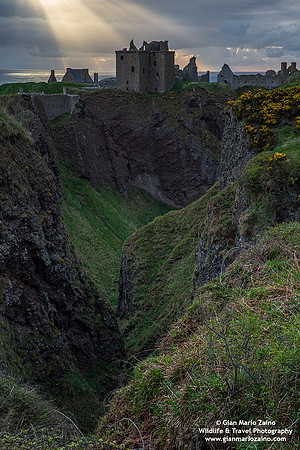 Scotland - Dunnottar Castle (03/05/2019)