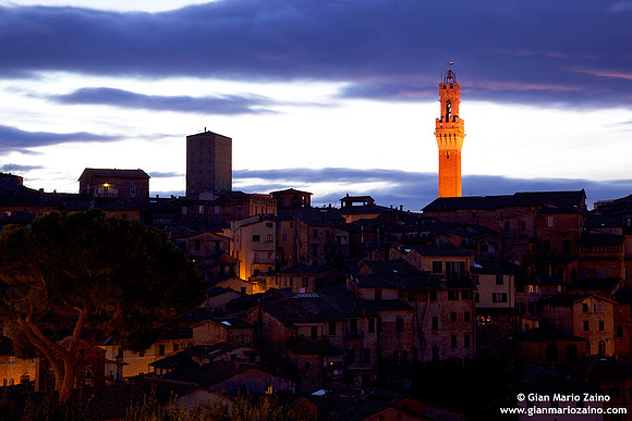 Italy - Siena (13/11/13)