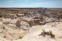 USA - Arizona, Petrified Forest National Park (16/08/2012)