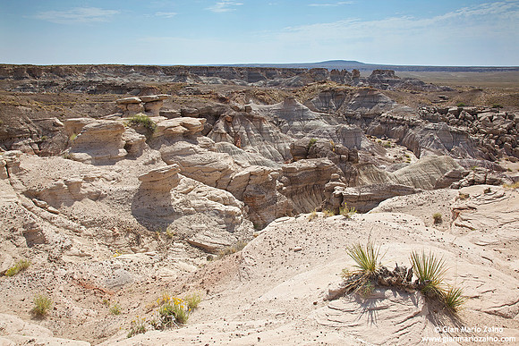 USA - Arizona, Petrified Forest National Park (16/08/2012)