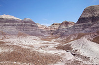 USA - Arizona, Petrified Forest National Park (16/08/2012)