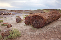 USA - Arizona, Petrified Forest National Park (16/08/2012)