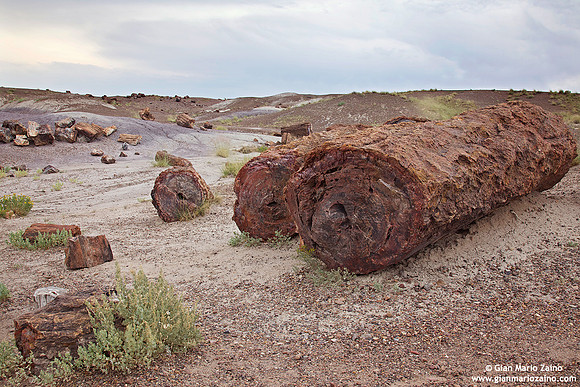 USA - Arizona, Petrified Forest National Park (16/08/2012)