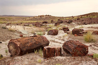 USA - Arizona, Petrified Forest National Park (16/08/2012)