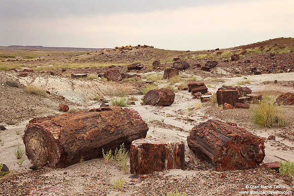 USA - Arizona, Petrified Forest National Park (16/08/2012)