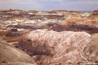 USA - Arizona, Petrified Forest National Park (16/08/2012)