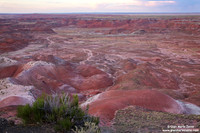 USA - Arizona, Petrified Forest National Park, Painted Desert (15/08/2012)