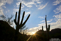 USA - Arizona, Saguaro National Park (15/08/2012)