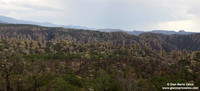 USA - Arizona, Chiricahua National Monument (14/08/2012)