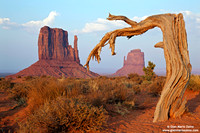 USA - Arizona, Monument Valley Navajo Tribal Park (18/08/2012)