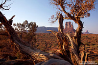 USA - Arizona, Monument Valley Navajo Tribal Park (18/08/2012)