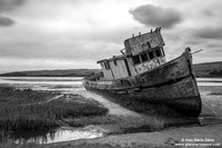 USA - Inverness - Point Reyes National Seashore (04/08/2015)
