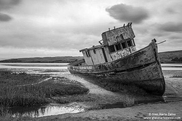 USA - Inverness - Point Reyes National Seashore (04/08/2015)