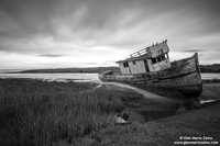 USA - Inverness - Point Reyes National Seashore (04/08/2015)