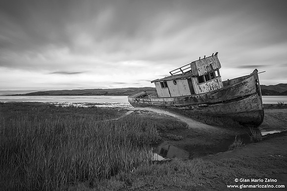 USA - Inverness - Point Reyes National Seashore (04/08/2015)