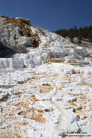 USA - Wyoming, Yellowstone NP (18/08/2013)