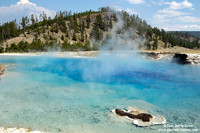 USA - Wyoming, Yellowstone NP (17/08/2013)