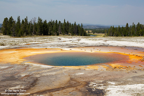 USA - Wyoming, Yellowstone NP (17/08/2013)