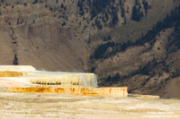 USA - Wyoming, Yellowstone NP (15/08/2013)