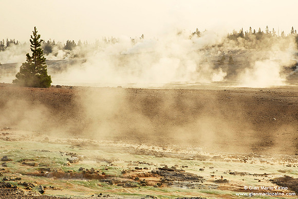 USA - Wyoming, Yellowstone NP (16/08/2013)