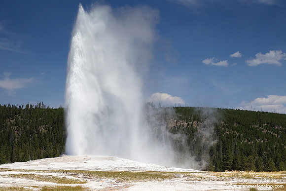 USA - Wyoming, Yellowstone NP (17/08/2013)