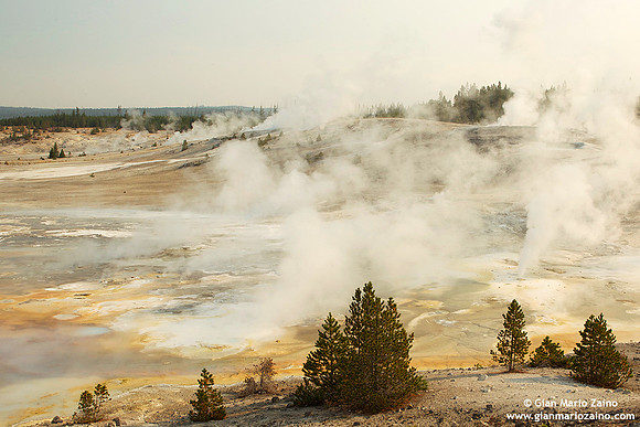 USA - Wyoming, Yellowstone NP (16/08/2013)