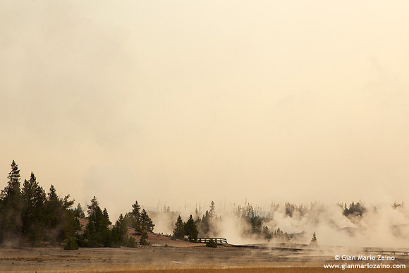 USA - Wyoming, Yellowstone NP (16/08/2013)