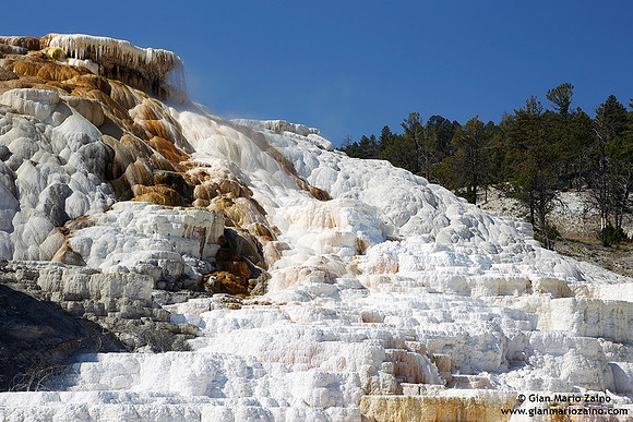 USA - Wyoming, Yellowstone NP (18/08/2013)
