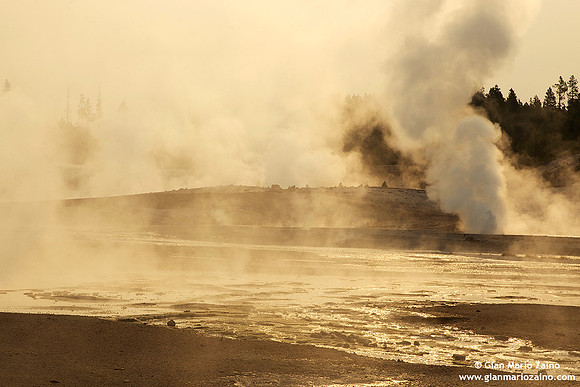 USA - Wyoming., Yellowstone NP (16/08/2013)